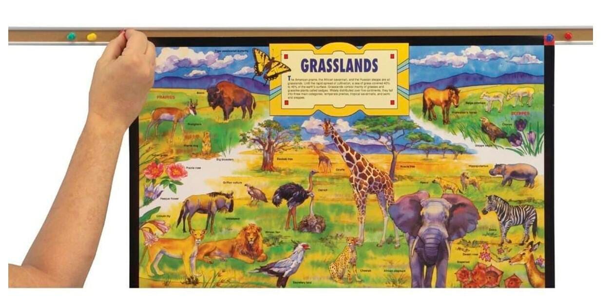 Map Rails and Display Rails Supplies, Item Number 027034